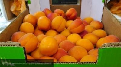Московский агрокомплекс не пустил на свою территорию десятки фур с армянскими абрикосами