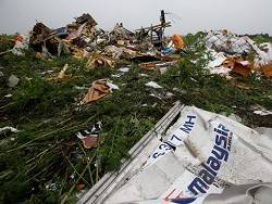 "Будьте мужчиной". Родители погибшего в катастрофе MH17 требуют от Путина взять ответственность