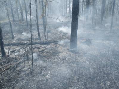 В Югре спасателям удалось локализовать природных пожар близ Советского и Югорска