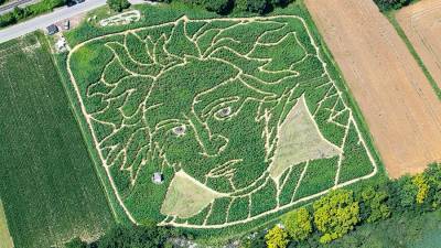 Гигантский портрет Бетховена появился на поле в Германии