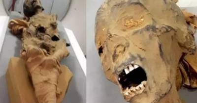 Археологи раскрыли тайну смерти "кричащей мумии"