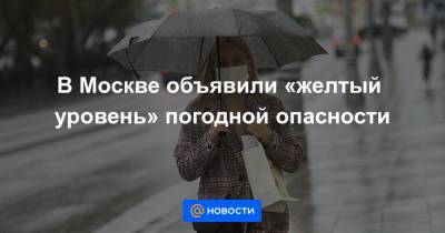 В Москве объявили «желтый уровень» погодной опасности