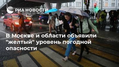 В Москве и области объявили "желтый" уровень погодной опасности