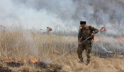 В лесах Тюменской области за трое суток потушили 7 пожаров