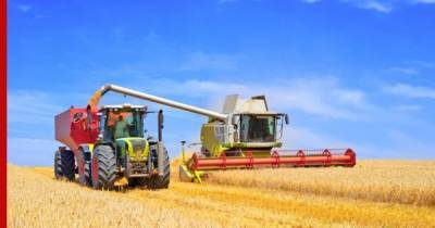На Западе обеспокоились запретом России на экспорт зерна