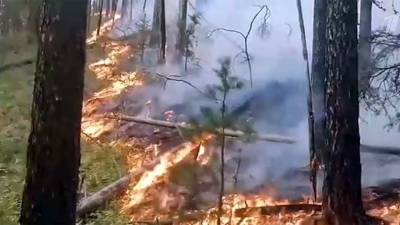 Дополнительные силы пожарных стягивают к озеру Тургояк под Челябинском, а в Башкирии пытаются спасти от огня территорию заповедника