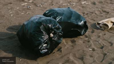 Пакет с человеческими останками нашли на набережной в Волгограде