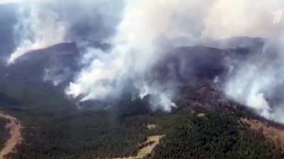 Сразу два крупных заповедника охвачены природными пожарами