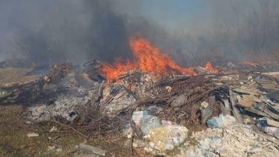 В Миассе введен режим ЧС из-за лесных пожаров