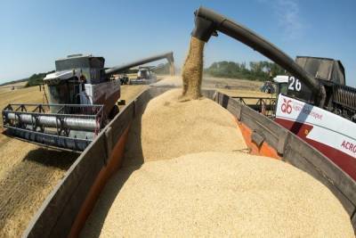 National Interest: экспорт пшеницы станет «гибридным оружием» России
