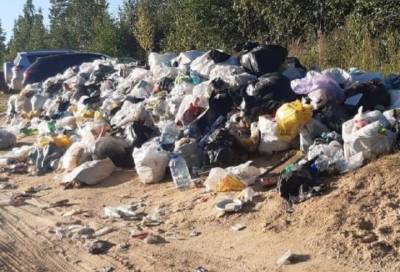 Активисты убрали 110 кубов мусора на карьере под Гатчиной