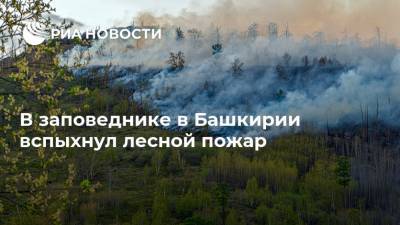 В заповеднике в Башкирии вспыхнул лесной пожар