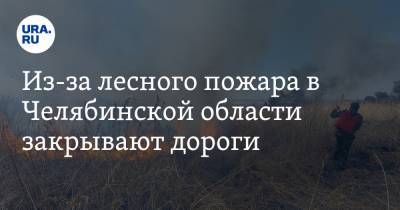 Из-за лесного пожара в Челябинской области закрывают дороги