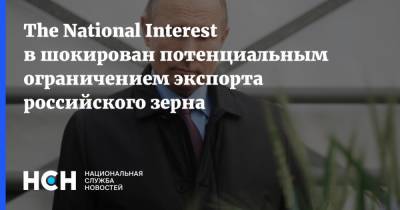 The National Interest в шокирован потенциальным ограничением экспорта российского зерна