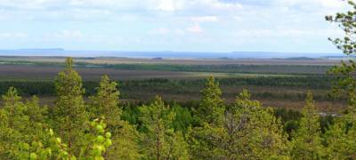 На севере Карелии хотят бесплатно раздавать землю гектарами