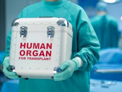 Лобби зарубежных клиник не заинтересовано в создании отечественной системы трансплантологии – глава НМПУ