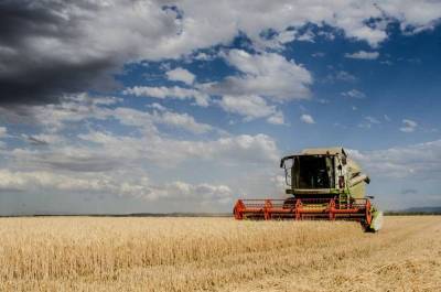 СМИ США: Через 8 лет Россия будет контролировать 20% мирового зерна