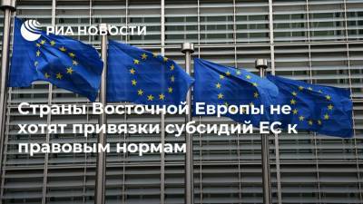 Страны Восточной Европы не хотят привязки субсидий ЕС к правовым нормам