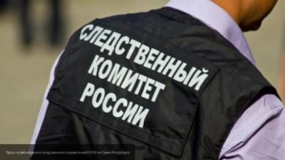 Рыжий мужчина в маске изнасиловал юриста в Петербурге