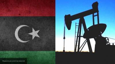 Шаповалов: турецкая интервенция в Ливию напрямую связана с богатыми месторождениями нефти