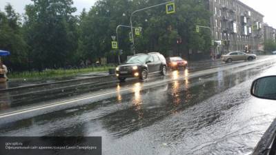 Гроза и кратковременные ливни обрушатся на Петербург в начале недели