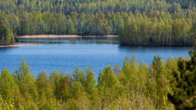Доступ туристов на озеро под Челябинском ограничен из-за лесного пожара