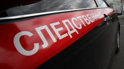 СК РФ возбудил уголовное дело после убийства сестры экс-директора «Ростсельмаша»