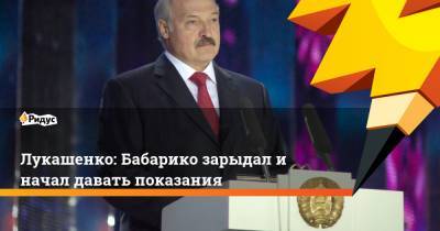 Лукашенко: Бабарико зарыдал и начал давать показания