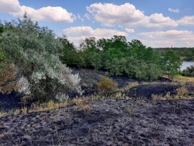 Из-за неосторожного обращения с огнем отдыхающих в Николаевской области выгорел почти 1 гектар леса
