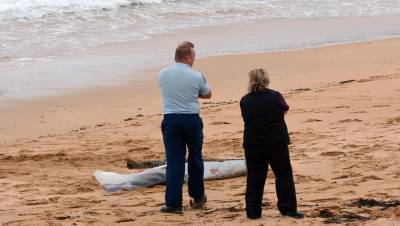 Умер в песке: страшная смерть мальчика на пляже Анапы