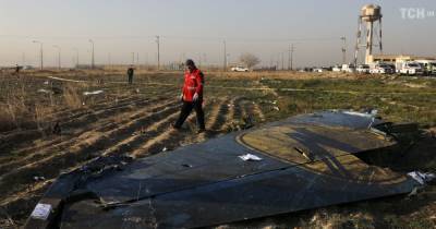 Франция пригласила Украину присоединиться к расшифровке "черных ящиков" сбитого Ираном самолета МАУ