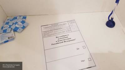 Подсчет голосов приостановили на одном из участков в Москве