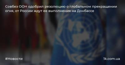 Совбез ООН одобрил резолюцию о глобальном прекращении огня, от России ждут ее выполнения на Донбассе