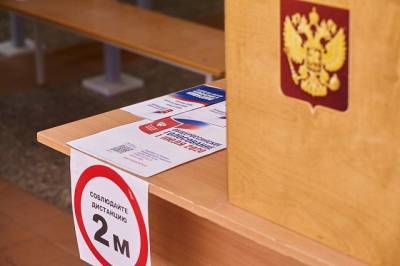 Поправки поддержали 78,04% россиян – данные после подсчета 95,6% протоколов