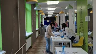 Поправки в Конституцию поддержали более 80% петербуржцев после обработки 21,58% бюллетеней