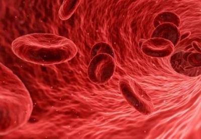 Медики нашли способ очистить кровеносные сосуды и предотвратить инсульт
