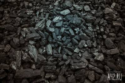 Глава «Лапичевской» прокомментировал планы по добыче угля рядом с кемеровской Лесной Поляной