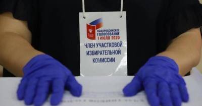 По итогам обработки почти 100% протоколов поправки в Конституцию поддержали 77,93% избирателей в России
