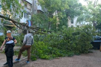 В Уфе произошло два случая падения старых деревьев