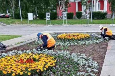 Столица Карелии преображается: появляется еще больше цветов и многолетних растений