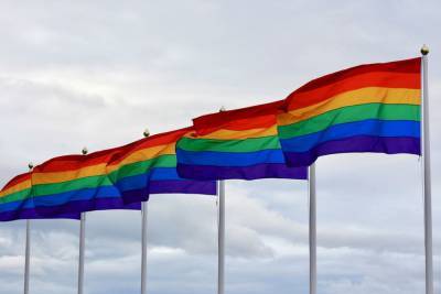 Парламент Черногории разрешил однополым парам заключать браки
