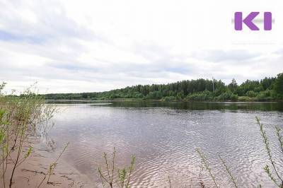 Тело 27-летнего жителя д. Лебяжск водолазы нашли в пяти метрах от берега