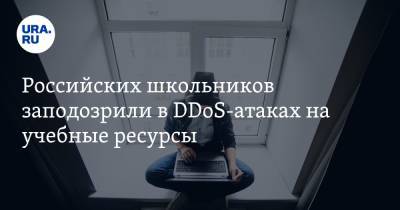 Школьников заподозрили в DDoS-атаках на учебные ресурсы России