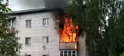 На крупном пожаре в Карелии едва не пострадали дети – спасатели вовремя подоспели (ВИДЕО)