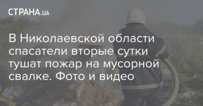 В Николаевской области спасатели вторые сутки тушат пожар на мусорной свалке. Фото и видео