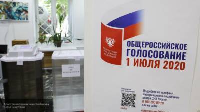 В Москве более 4 млн избирателей приняли участие в голосовании по поправкам
