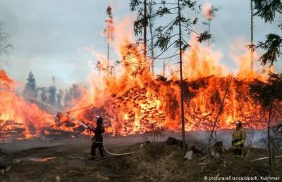 И снова пожары в Сибири. Горят 200 гектаров леса