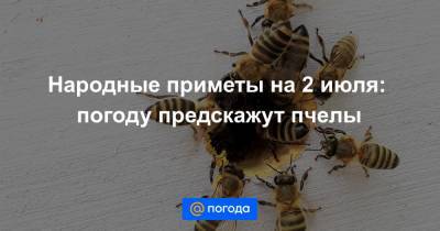 Народные приметы на 2 июля: погоду предскажут пчелы - news.mail.ru