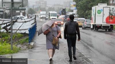 Москвичи пережили самый дождливый июнь за последние 200 лет