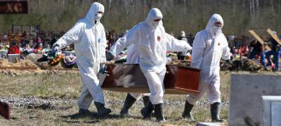 В России за сутки умерло 147 больных коронавирусной инфекцией